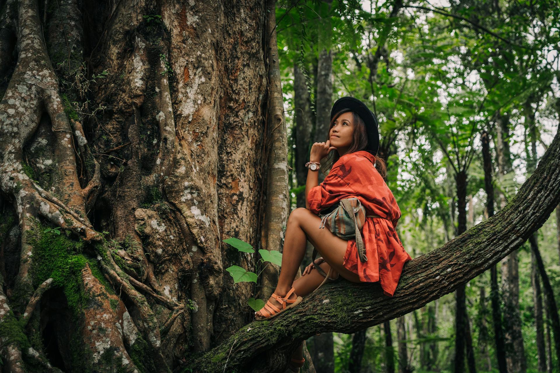 Women in Woods